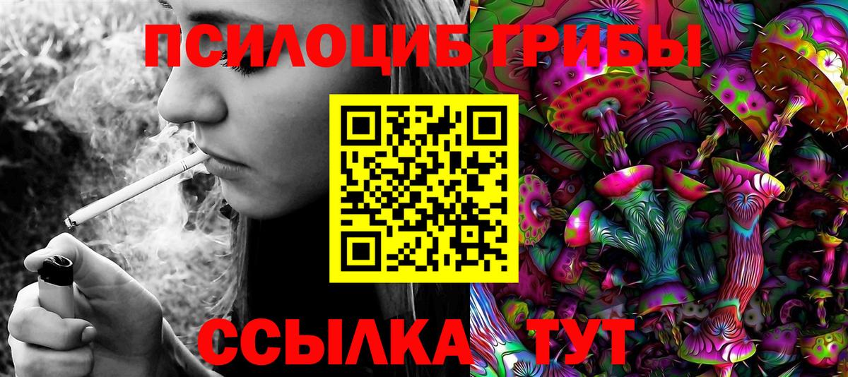 Галлюциногенные грибы Psilocybe  Вход с VPN  как найти закладки  Елец 