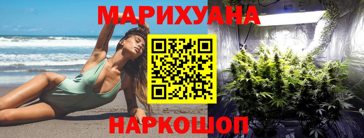 Каннабис план Елец
